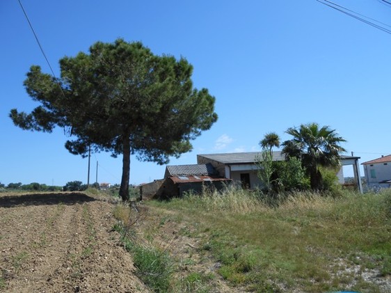 two bed habitable farm house with 8000sqm of land, 5km to beach 2