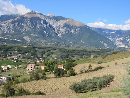 Farm house with open, fantastic mountain views, barn and 8000sqm of olive grove 1
